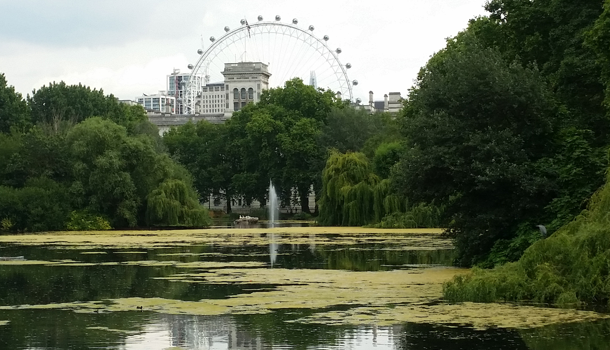 Ten Methods to Get 2022 off to a terrific begin