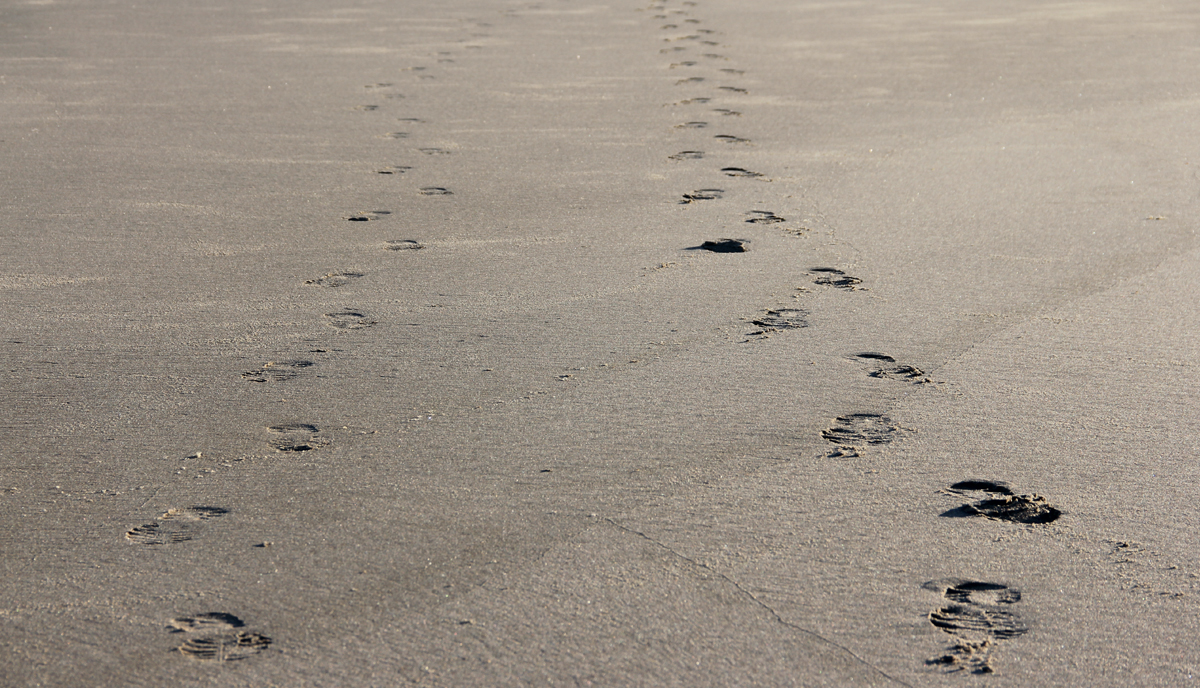 Who Advantages Most From Locums?