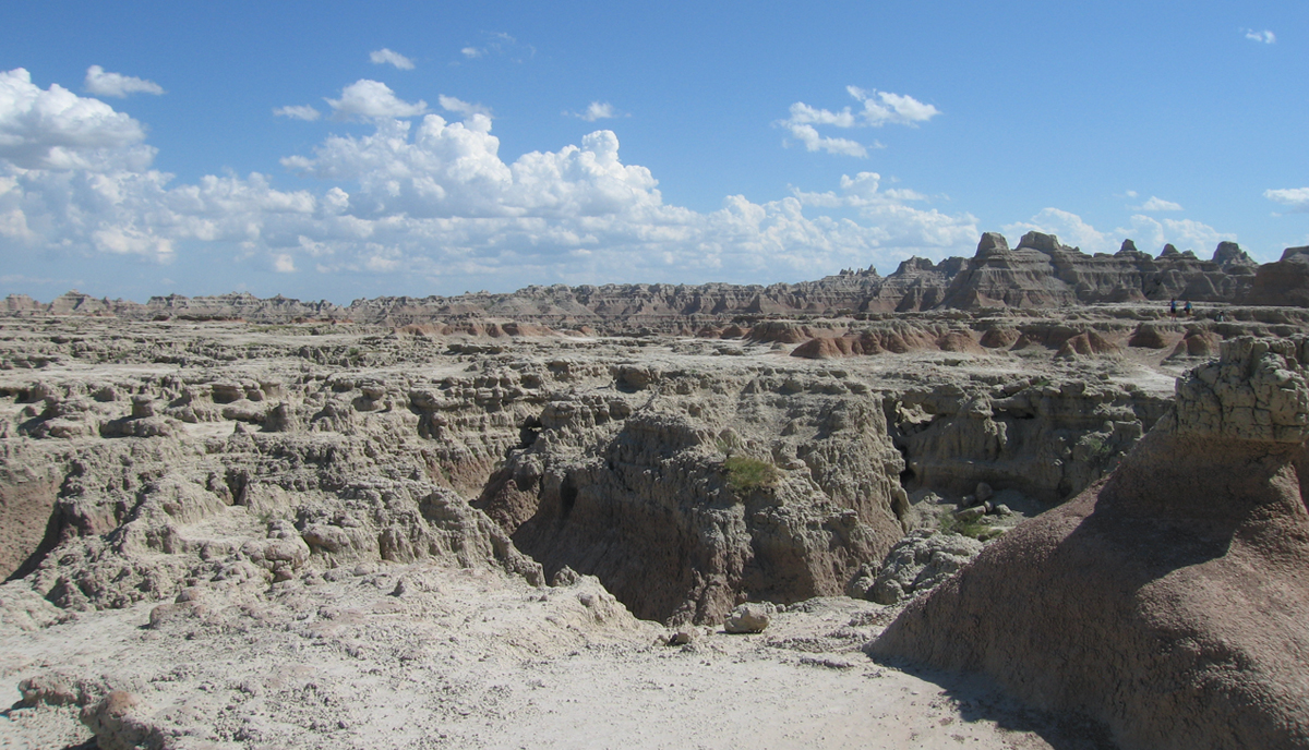 What I Discovered From My First Particular person Inventory Buy in 20 Years